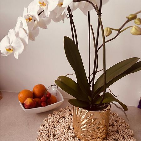 Apartament Penelopa Silver Swinoujscie Luaran gambar